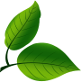 solar leaf